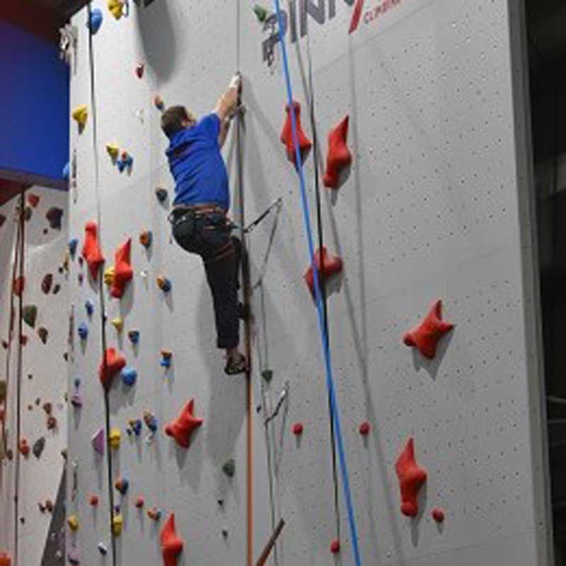 recruiting for a digital marketing apprentice role